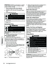 Briggs And Stratton 040248 Generator Owners Manual page 22